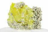 Striking Sulfur Crystals on Fluorescent Aragonite - Italy #282573-1